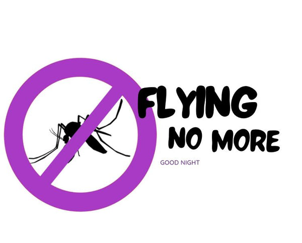 Fly No More